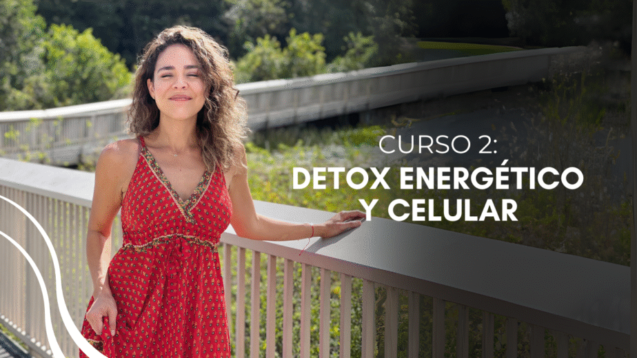 Curso 2: Detox energético y celular